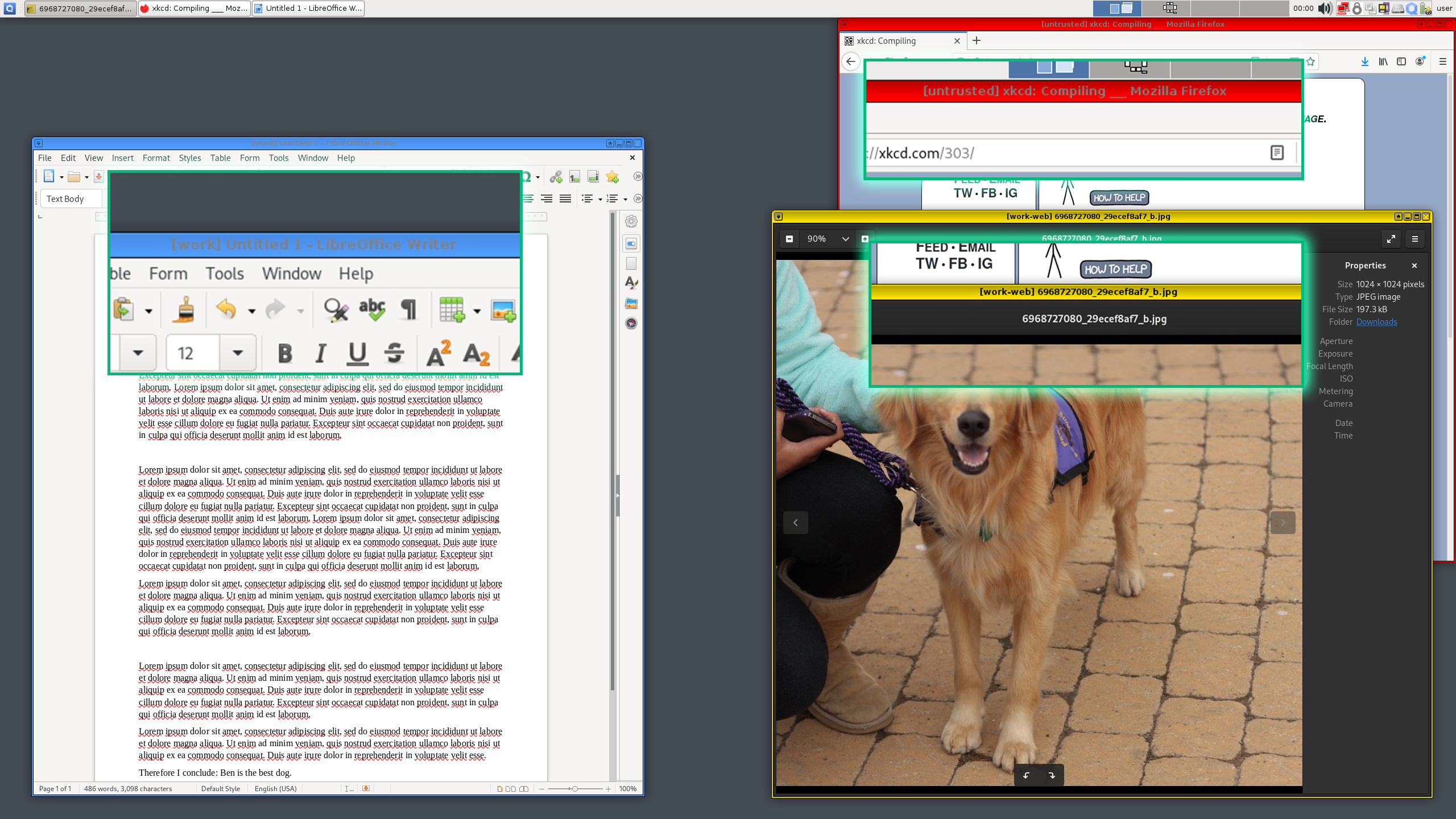 qubes-os-screenshot